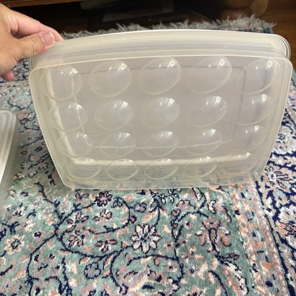 2 Rubbermaid Servin Saver Deviled Egg Container 4910 Almond Lid Holds 20 Eggs